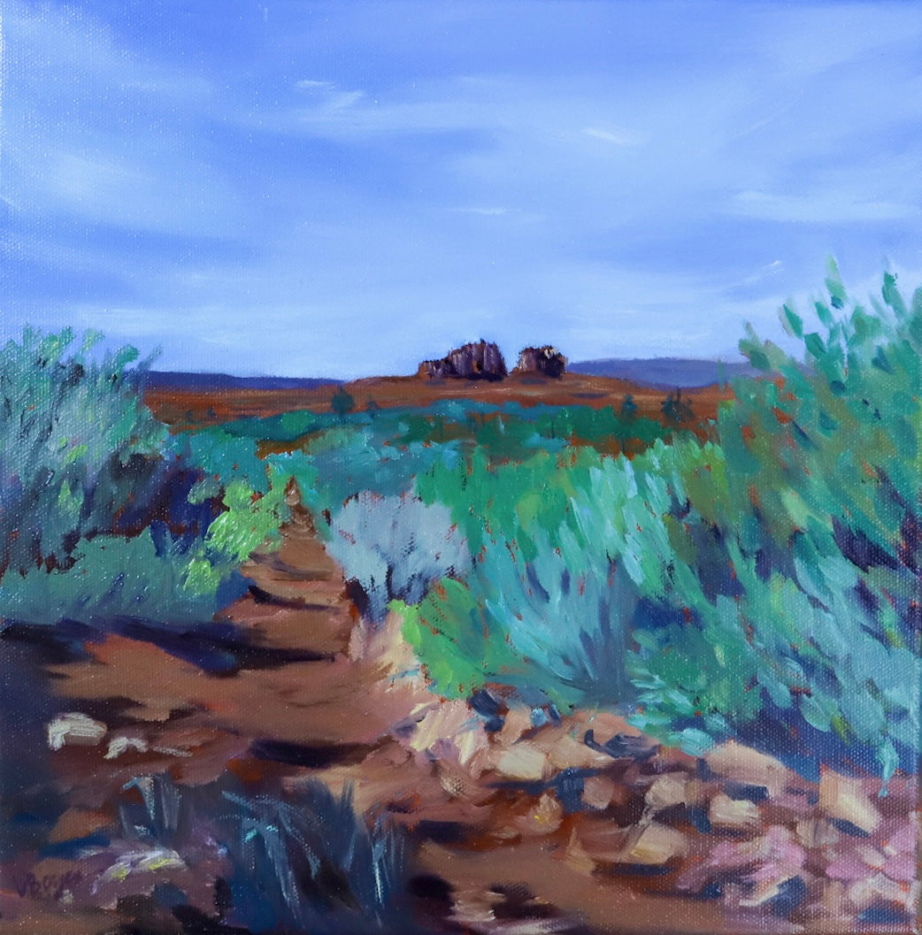 Sedona Hike