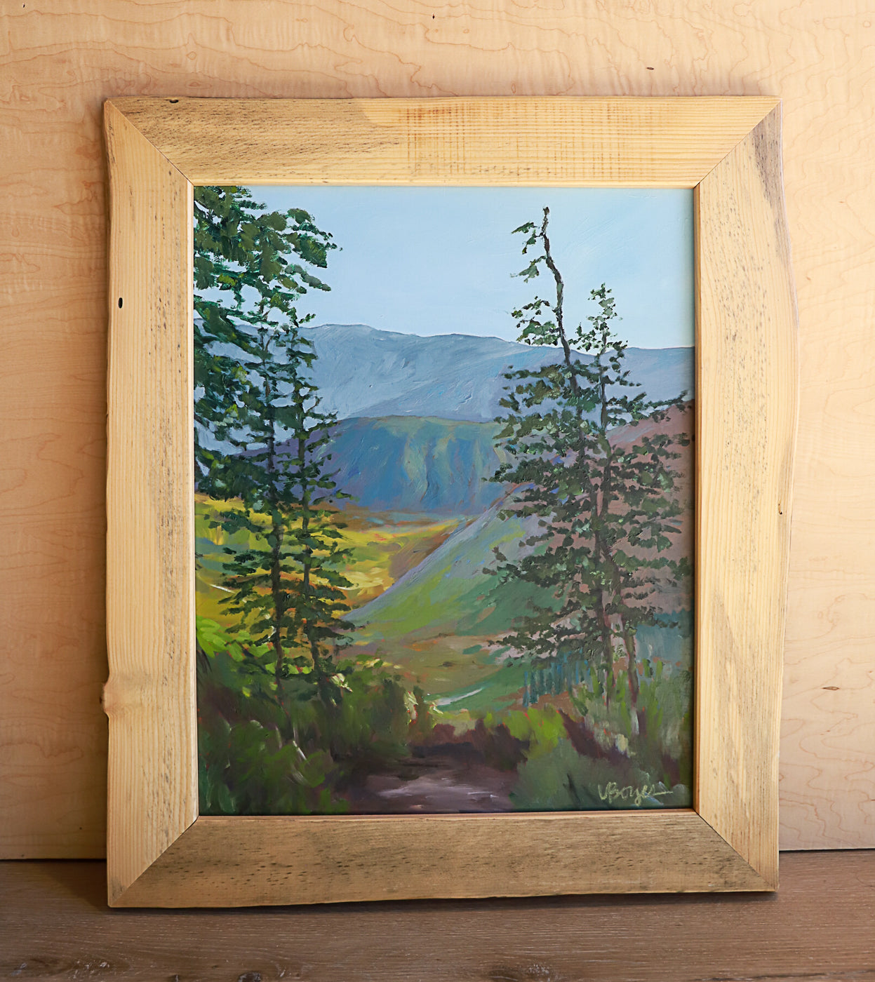 Hike to Timpanogos