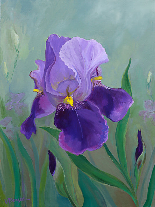 Purple Iris Print